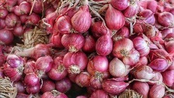 Red onion